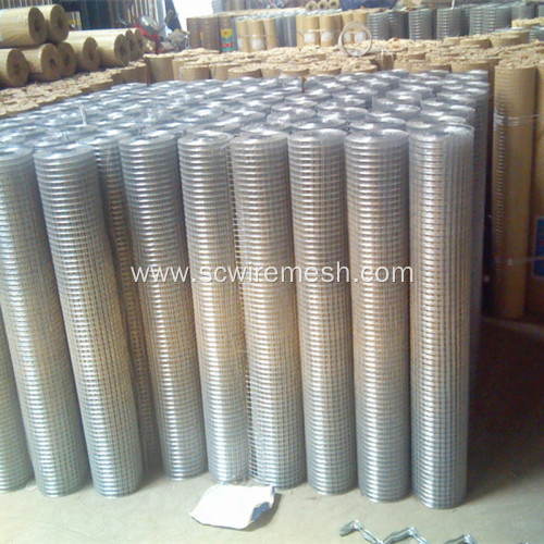 Where Is Galvanized Welded Wire Mesh Market